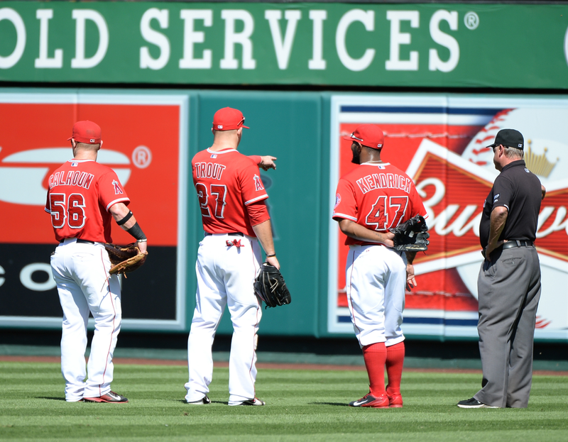 Illustration for article titled Look At All Of These Goddamn Bees At Angel Stadium